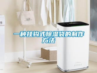 企業(yè)新聞一種掛鉤式除濕袋的制作方法