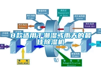 企業(yè)新聞8款適用于潮濕或雨天的最佳除濕機