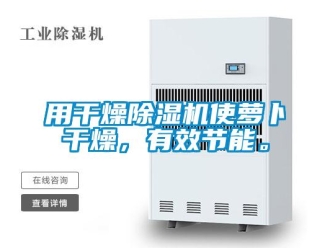 知識百科用干燥除濕機(jī)使蘿卜干燥，有效節(jié)能。