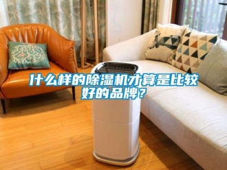 企業(yè)新聞什么樣的除濕機(jī)才算是比較好的品牌？