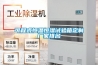 可程式恒溫恒濕試驗(yàn)箱定制廠家排名