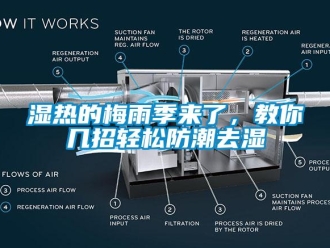 知識百科濕熱的梅雨季來了，教你幾招輕松防潮去濕