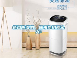 知識(shí)百科新風(fēng)除濕機(jī)，原來(lái)作用那么大！