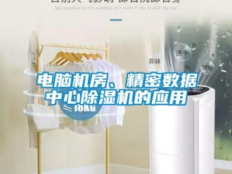 企業(yè)新聞電腦機房、精密數(shù)據(jù)中心除濕機的應用