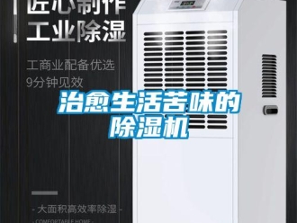 知識(shí)百科治愈生活苦味的除濕機(jī)