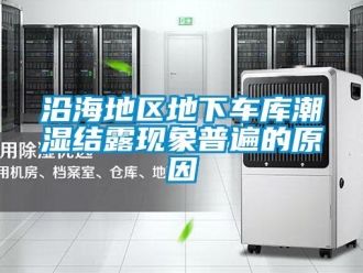 知識(shí)百科沿海地區(qū)地下車庫(kù)潮濕結(jié)露現(xiàn)象普遍的原因