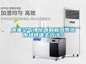 知識百科未來空氣凈化器和新風(fēng)系統(tǒng)市場將誰主沉??？