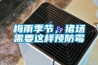梅雨季節(jié)，豬場需要這樣預防霉