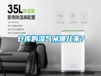 企業(yè)新聞倉庫的濕氣從哪兒來？