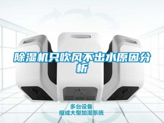 企業(yè)新聞除濕機(jī)只吹風(fēng)不出水原因分析