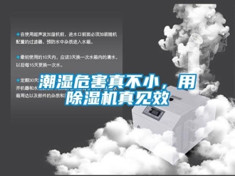 企業(yè)新聞潮濕危害真不小，用除濕機(jī)真見效