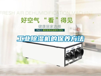 企業(yè)新聞工業(yè)除濕機(jī)的保養(yǎng)方法