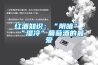 紅酒知識：“陰暗”、“濕冷”葡萄酒的最愛