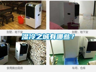 知識(shí)百科濕冷之城有哪些？