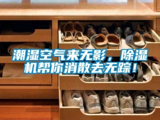 企業(yè)新聞潮濕空氣來(lái)無(wú)影，除濕機(jī)幫你消散去無(wú)蹤！