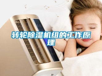 知識(shí)百科轉(zhuǎn)輪除濕機(jī)組的工作原理