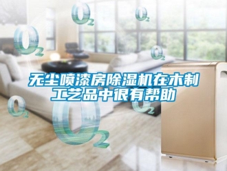 知識(shí)百科無塵噴漆房除濕機(jī)在木制工藝品中很有幫助