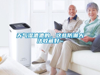 知識(shí)百科天氣濕漉漉的，這些防潮大法收藏好~