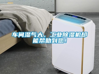 企業(yè)新聞車間濕氣大，工業(yè)除濕機(jī)卻能幫助到您！
