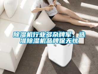 企業(yè)新聞除濕機行業(yè)多雜牌軍，選準(zhǔn)除濕機品牌保無憂