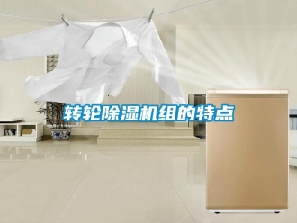 知識(shí)百科轉(zhuǎn)輪除濕機(jī)組的特點(diǎn)