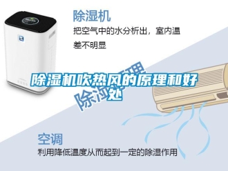 企業(yè)新聞除濕機吹熱風的原理和好處