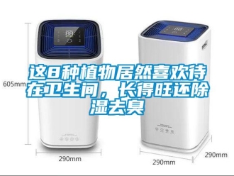 知識(shí)百科這8種植物居然喜歡待在衛(wèi)生間，長(zhǎng)得旺還除濕去臭