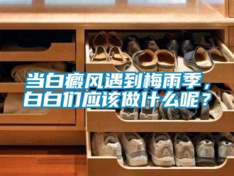 企業(yè)新聞當(dāng)白癜風(fēng)遇到梅雨季，白白們應(yīng)該做什么呢？