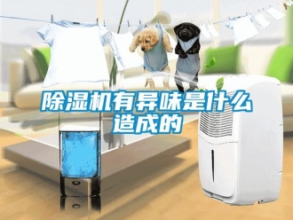 企業(yè)新聞除濕機有異味是什么造成的