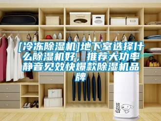 企業(yè)新聞[冷凍除濕機(jī)]地下室選擇什么除濕機(jī)好，推薦大功率靜音見效快爆款除濕機(jī)品牌