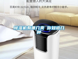企業(yè)新聞除濕機有哪幾類 你知道幾種