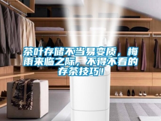 企業(yè)新聞茶葉存儲(chǔ)不當(dāng)易變質(zhì)，梅雨來臨之際，不得不看的存茶技巧！
