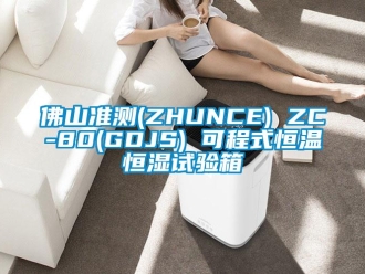 知識(shí)百科佛山準(zhǔn)測(cè)(ZHUNCE) ZC-80(GDJS) 可程式恒溫恒濕試驗(yàn)箱