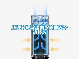 企業(yè)新聞工業(yè)轉輪除濕機保養(yǎng)的五個小技巧