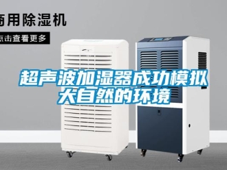 企業(yè)新聞超聲波加濕器成功模擬大自然的環(huán)境