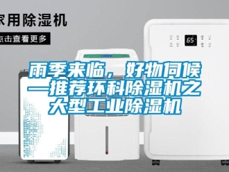 知識百科雨季來臨，好物伺候—推薦環(huán)科除濕機之大型工業(yè)除濕機