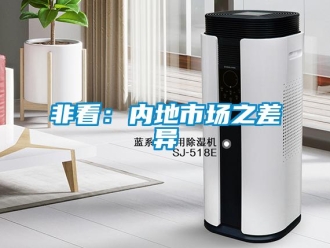 企業(yè)新聞非看：內地市場之差異