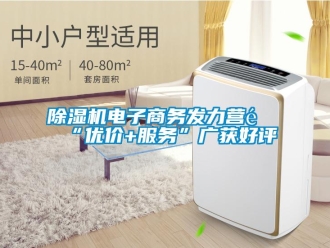 企業(yè)新聞除濕機(jī)電子商務(wù)發(fā)力營銷“優(yōu)價+服務(wù)”廣獲好評