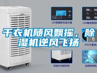 企業(yè)新聞干衣機(jī)隨風(fēng)飄搖，除濕機(jī)逆風(fēng)飛揚(yáng)