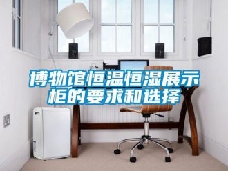 知識(shí)百科博物館恒溫恒濕展示柜的要求和選擇