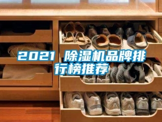 企業(yè)新聞2021 除濕機(jī)品牌排行榜推薦