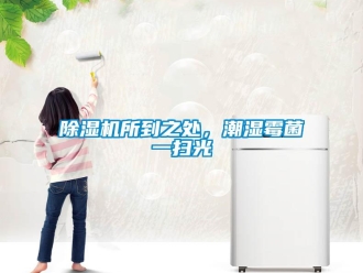 企業(yè)新聞除濕機所到之處，潮濕霉菌一掃光