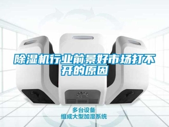 企業(yè)新聞除濕機行業(yè)前景好市場打不開的原因