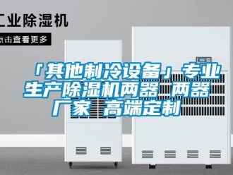 企業(yè)新聞「其他制冷設(shè)備」專(zhuān)業(yè)生產(chǎn)除濕機(jī)兩器 兩器廠(chǎng)家 高端定制