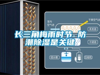 知識(shí)百科長(zhǎng)三角梅雨時(shí)節(jié) 防潮除濕是關(guān)鍵
