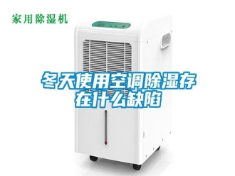 企業(yè)新聞冬天使用空調(diào)除濕存在什么缺陷