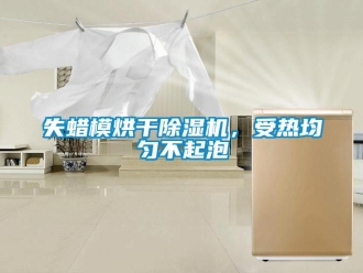 知識百科失蠟模烘干除濕機，受熱均勻不起泡