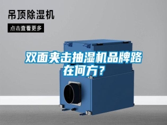 知識(shí)百科雙面夾擊抽濕機(jī)品牌路在何方？