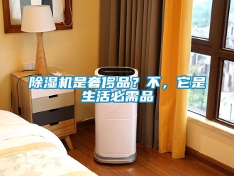 企業(yè)新聞除濕機(jī)是奢侈品？不，它是生活必需品