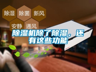 企業(yè)新聞除濕機除了除濕，還有這些功能